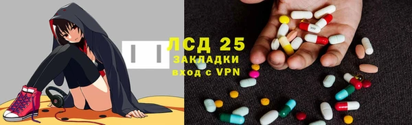 амф Богданович
