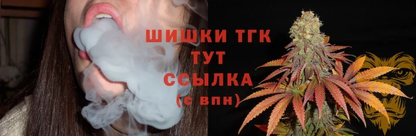 амф Богданович
