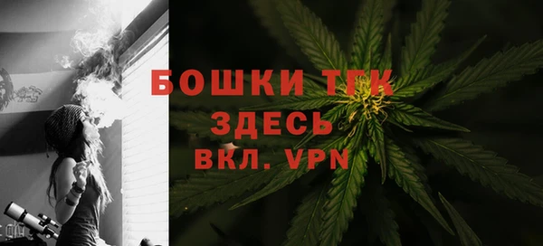 амф Богданович