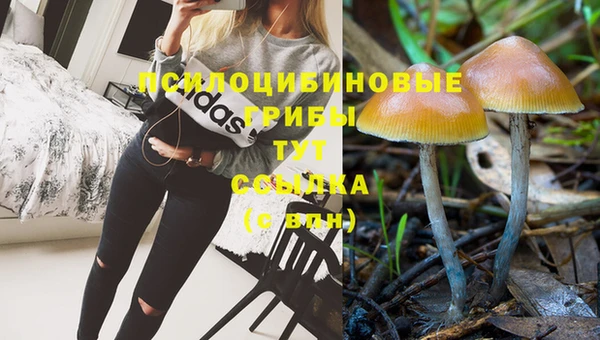 амф Богданович