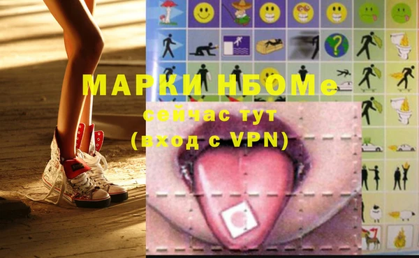 индика Бронницы