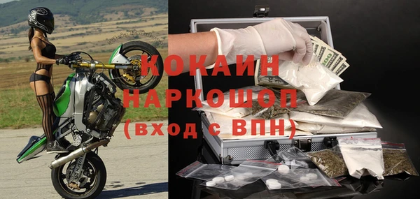 дживик Богородицк