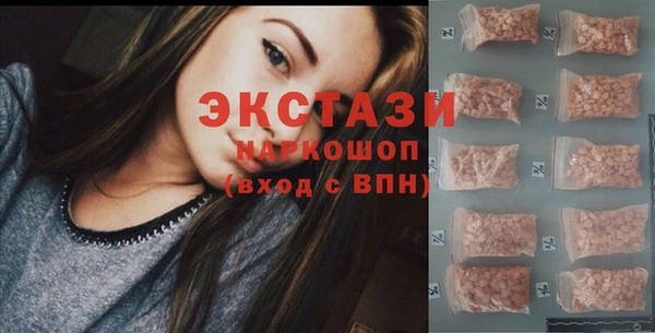 дживик Богородицк