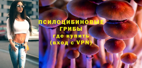 МДМА Бородино