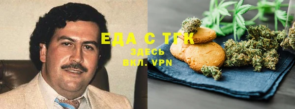 индика Бронницы